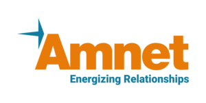 Logo of Amnet Systems